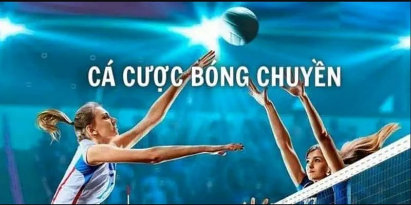 Tìm Hiểu Chung Về Cá Cược Bóng Chuyền