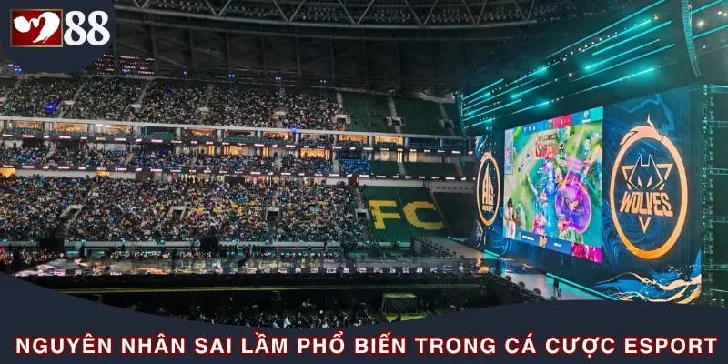 Nguyên nhân dẫn đến sai lầm