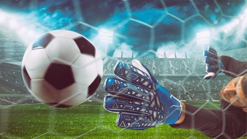 Tỷ Lệ Cược Hong Kong | Lợi Nhuận Thực Sự Bao Nhiêu?